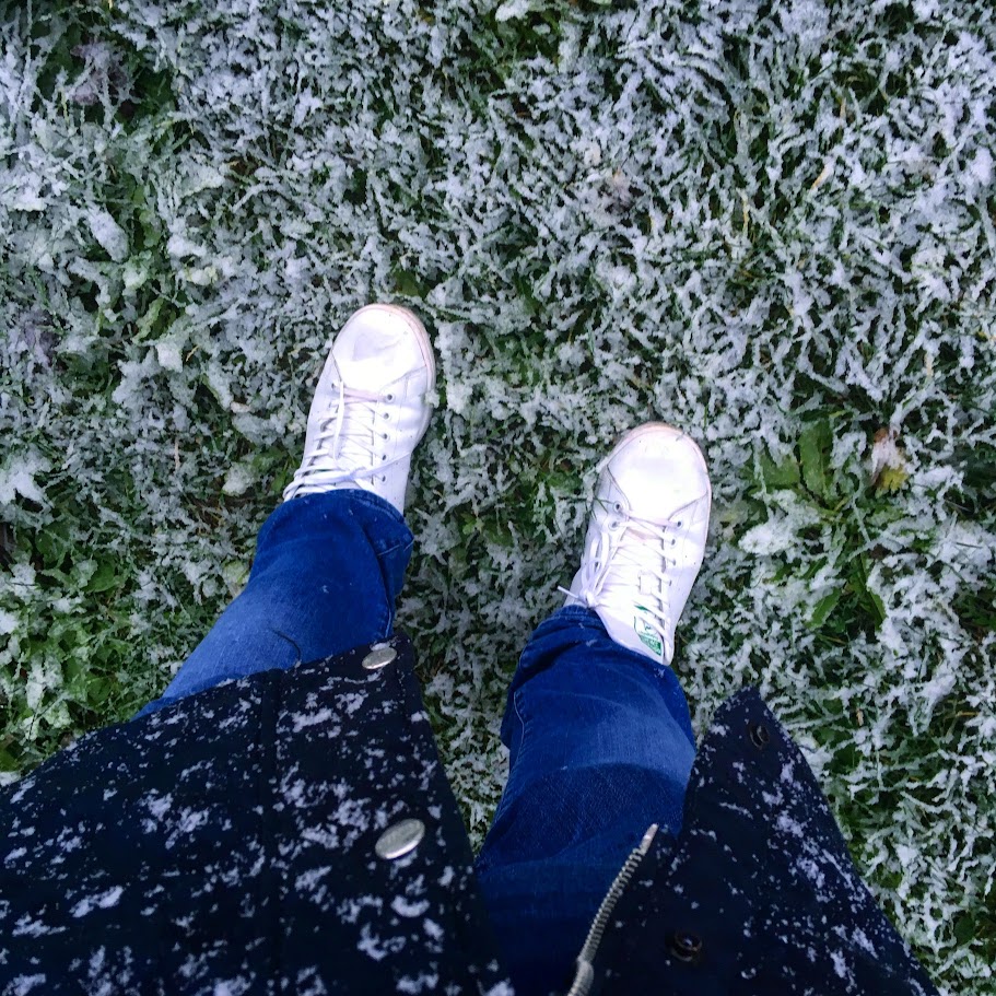 2019 A neve cai no Synchrotron SOLEIL - França